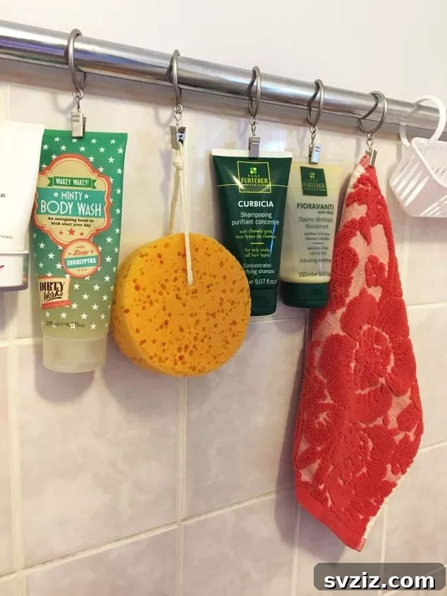 Shower Storage