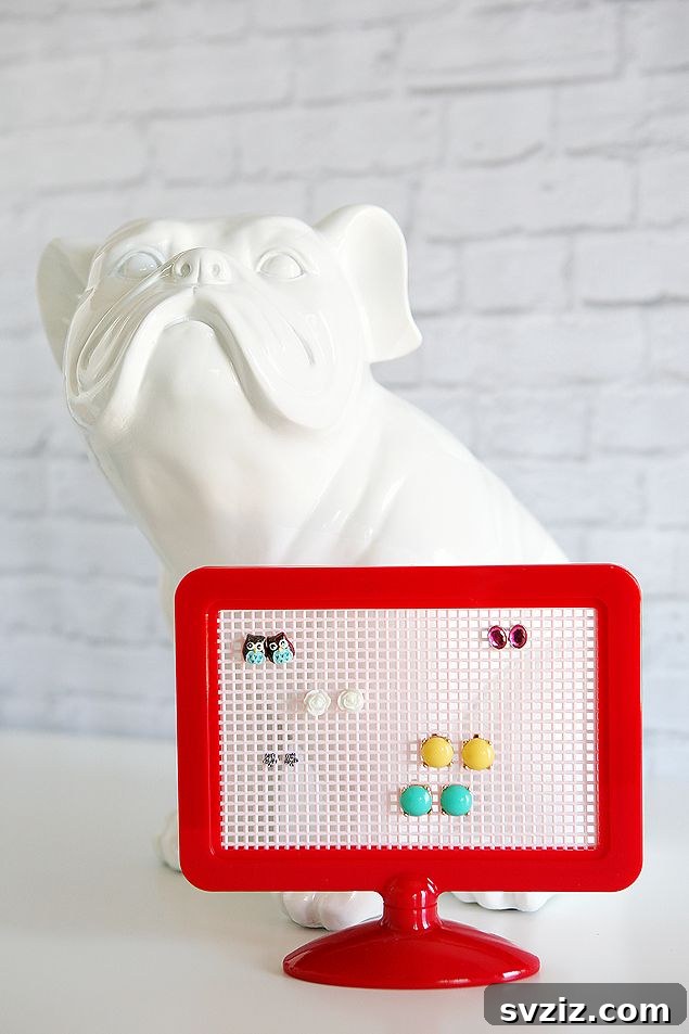 Cute DIY Earring Holder with plastic frame