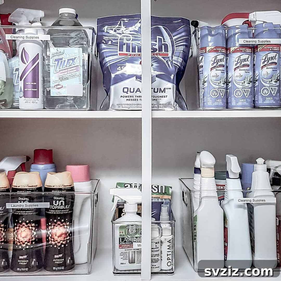 Smart Storage Ideas for Your Cleaning Essentials 17 Deep Plastic Bins