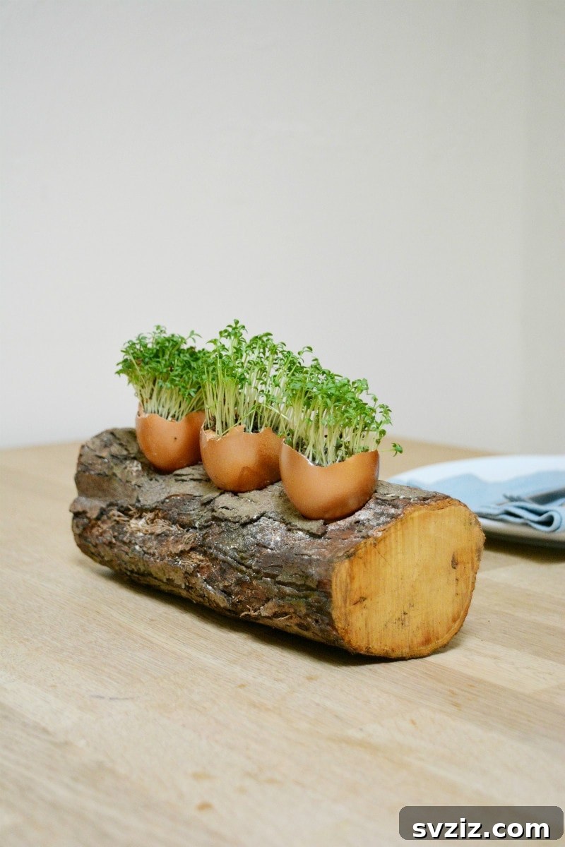 25 Inspiring DIY Easter Egg Decorating Ideas 16 egg shell decor