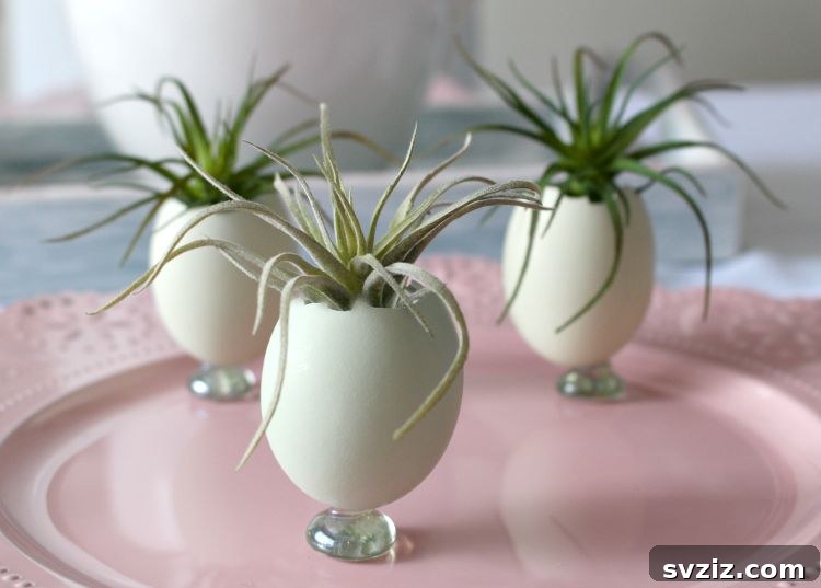 25 Inspiring DIY Easter Egg Decorating Ideas 20 Egg Shell Planters