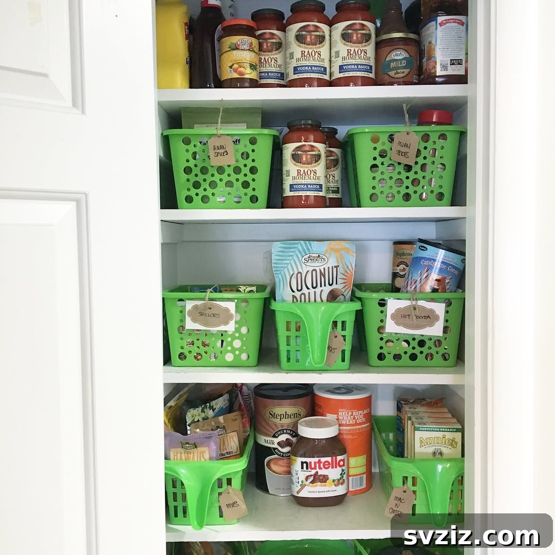 Affordable Dollar Tree baskets providing practical and budget-friendly pantry organization.