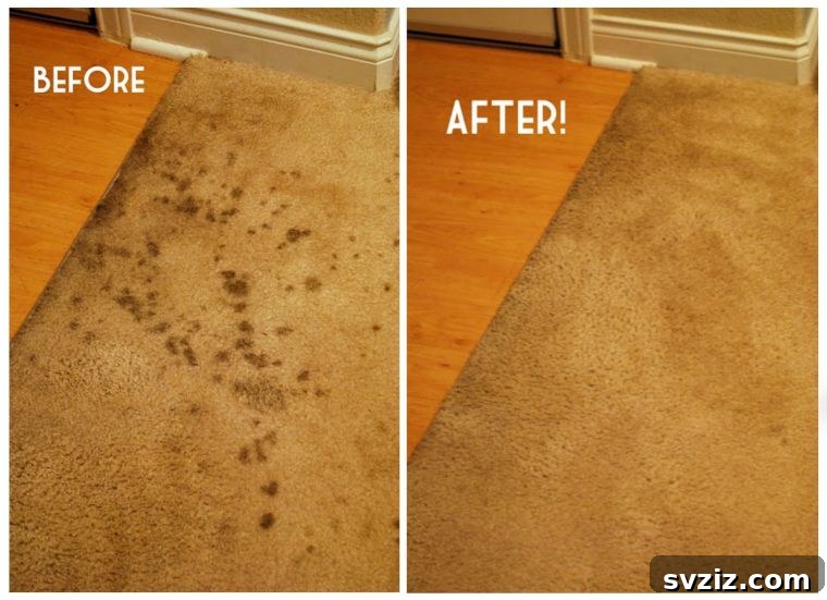 24 Clever Cleaning Hacks for a Spotless Home 19 Carpet Clean-Up