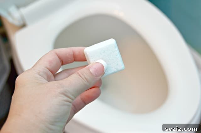 24 Clever Cleaning Hacks for a Spotless Home 20 Toilet Tablets