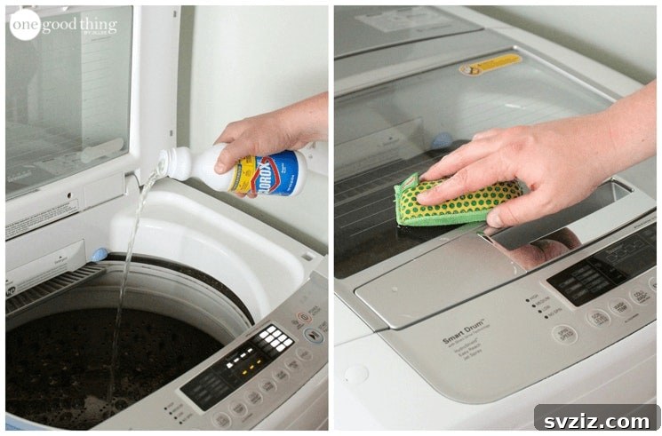 24 Clever Cleaning Hacks for a Spotless Home 23 Top Loader