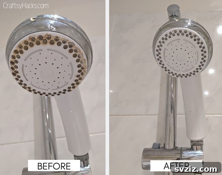 24 Clever Cleaning Hacks for a Spotless Home 24 shower head cleaning