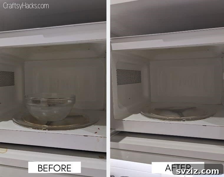 24 Clever Cleaning Hacks for a Spotless Home 10 cleaning microwave before and after