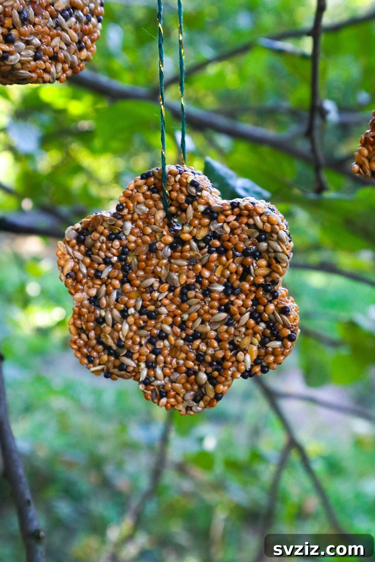 DIY Hanging Bird Feeders