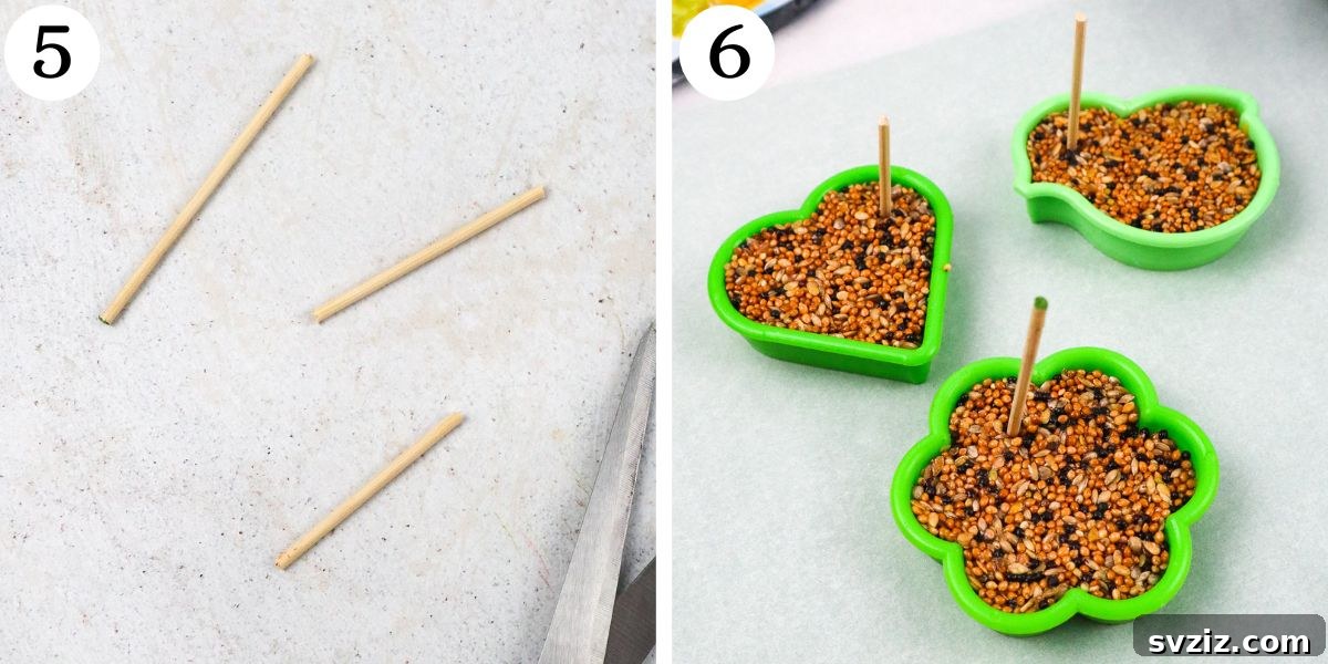 Simple Bird Feeders
