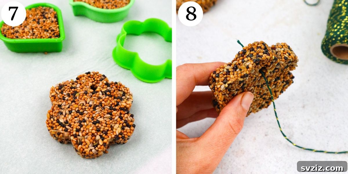Brilliant Bird Feeders