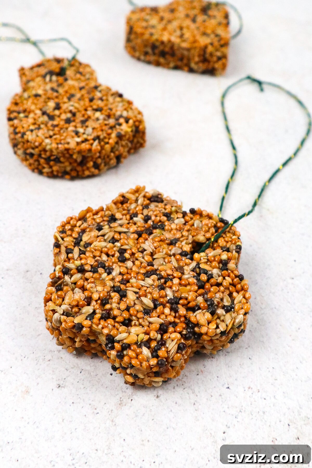 Finished DIY Hanging Bird Feeders