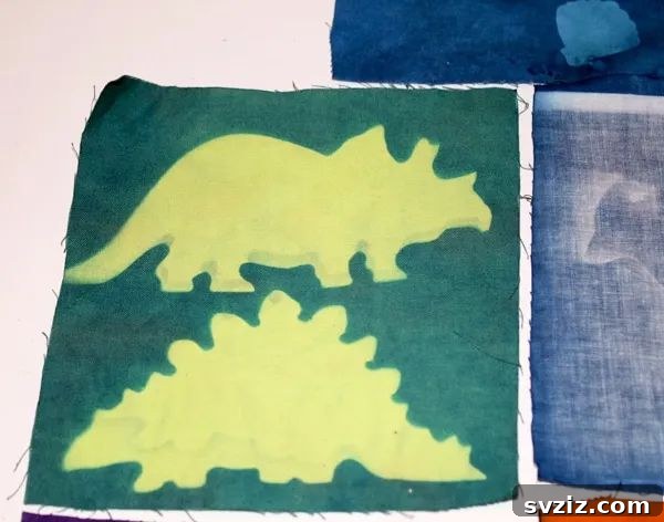 12. Sun Prints