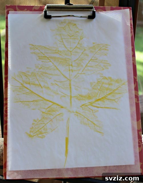 14. Leaf Rubbing