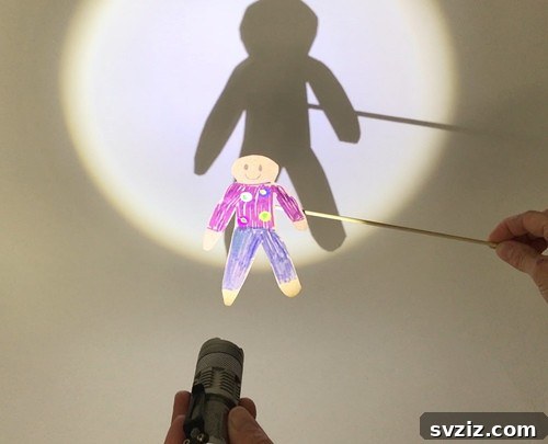 18. Shadow Puppets