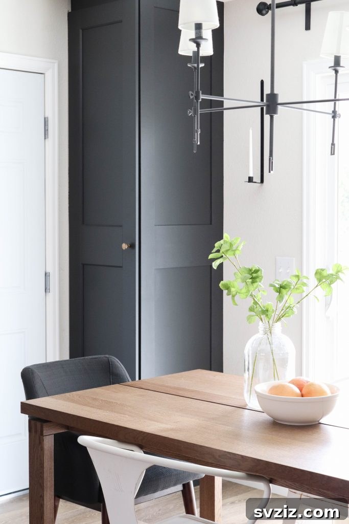 12. Customized IKEA PAX Cabinet