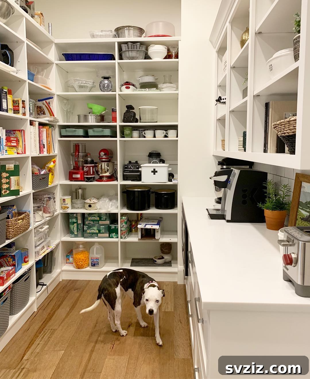 Elevate Your Pantry: 27 Brilliant Strategies for Enduring Order 5 3. Countertop for Appliances