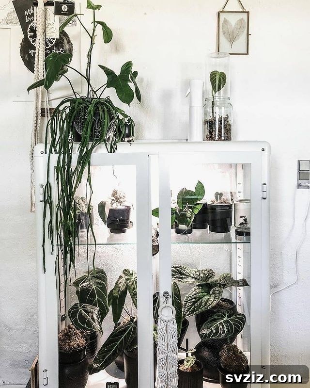 Indoor Greenhouse