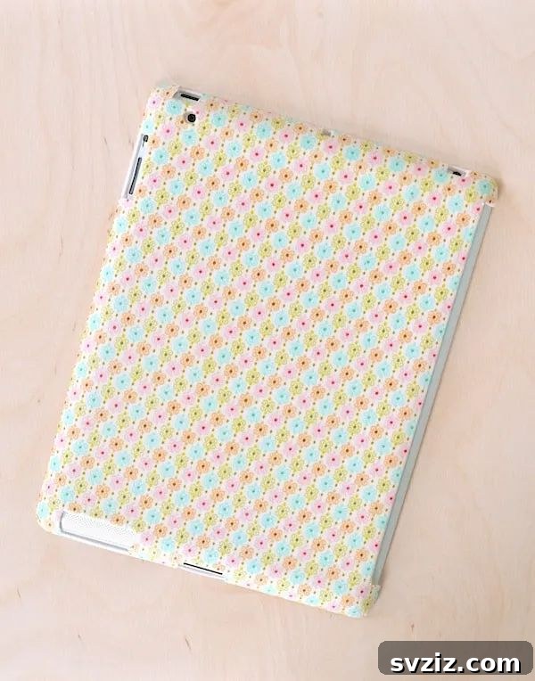 IPAD Case