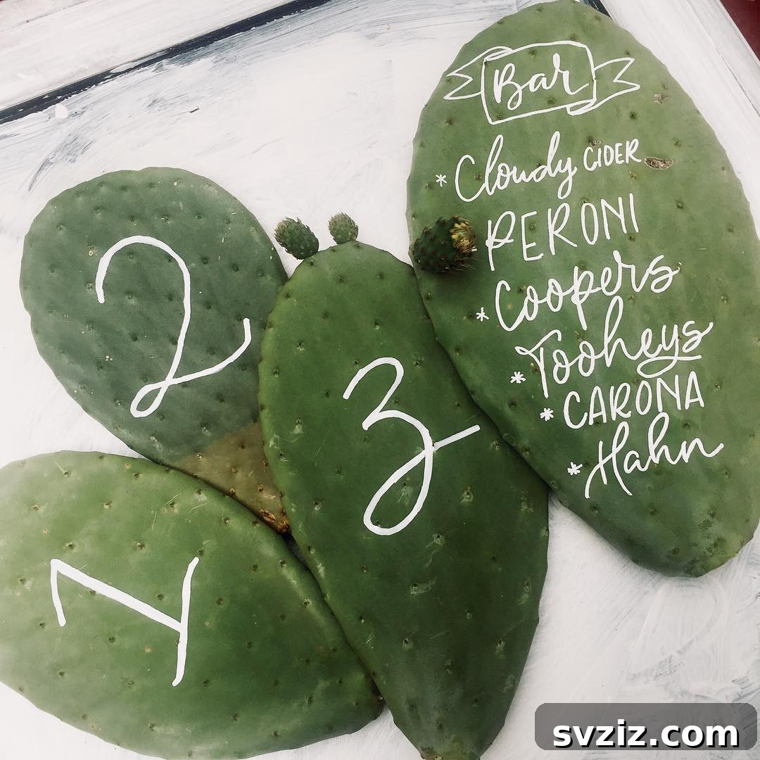 Perfectly Prickly Cactus Leaves with Written Table Numbers