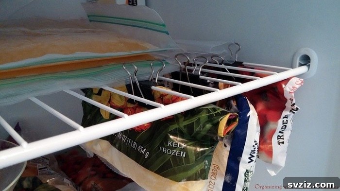binder clips in freezer