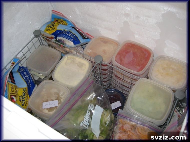 plastic freezer organizers