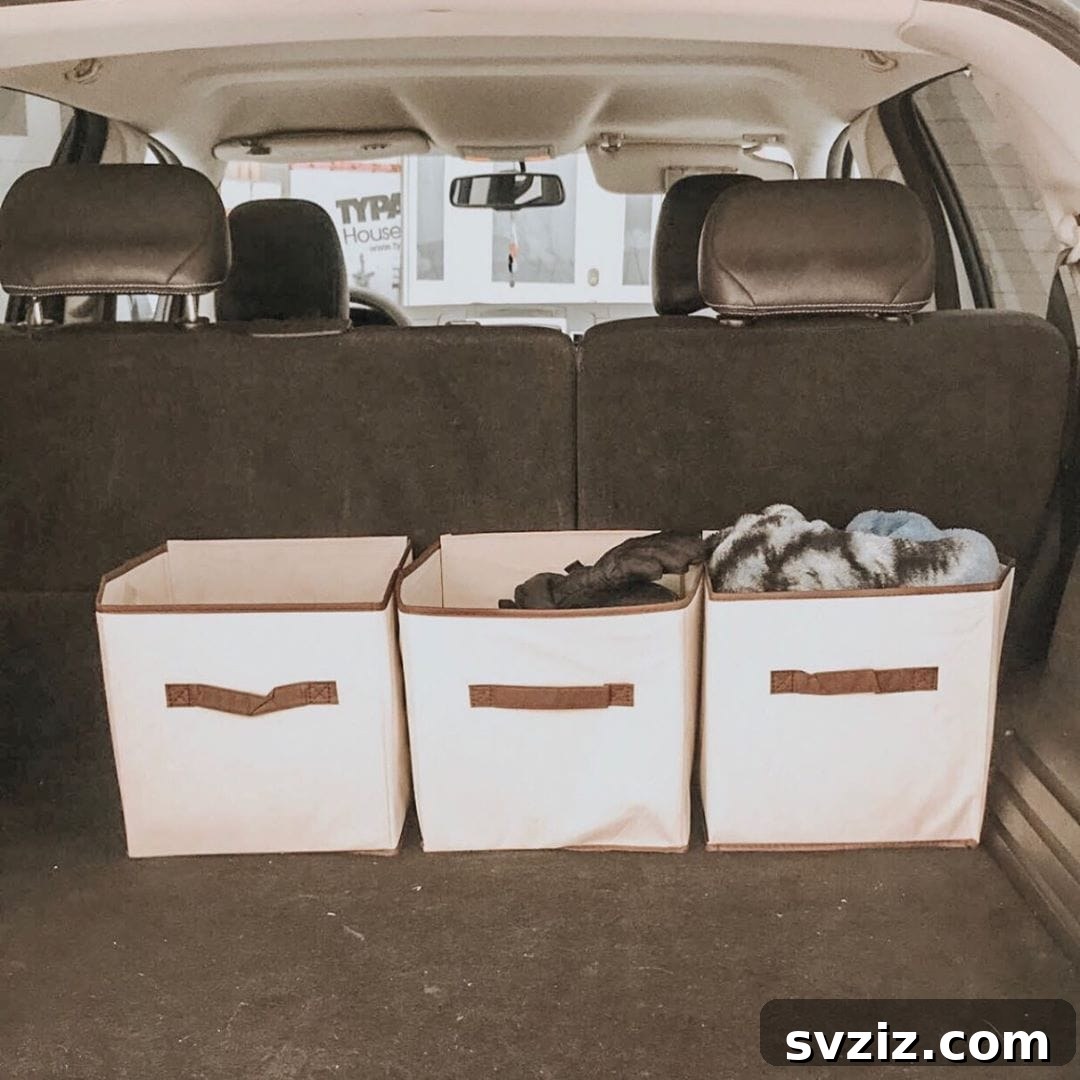 20 Genius Dollar Store Storage Solutions 16 car fabric storage baskets dollar tree