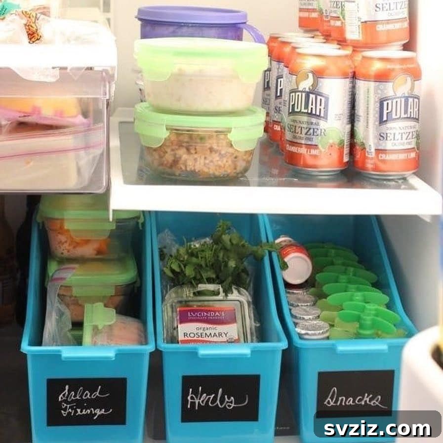 20 Genius Dollar Store Storage Solutions 18 fridge organization dollar tree containers