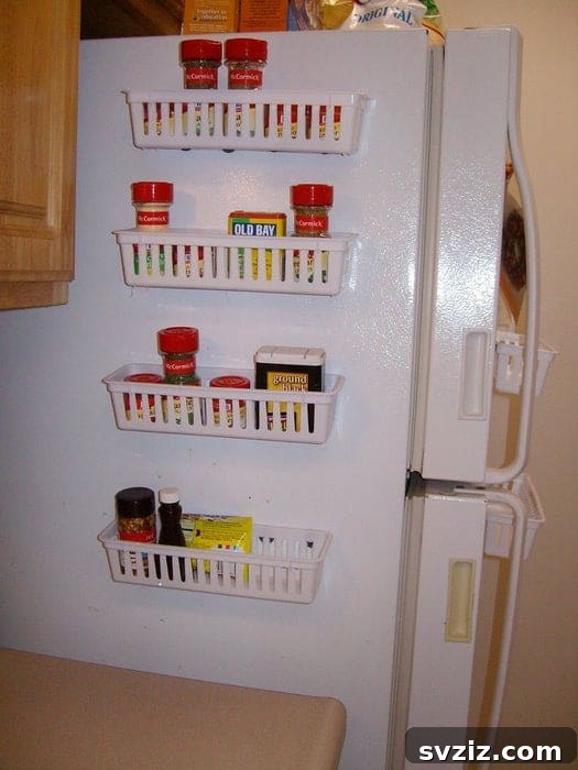 20 Genius Dollar Store Storage Solutions 21 magnetic fridge spice racks dollar tree
