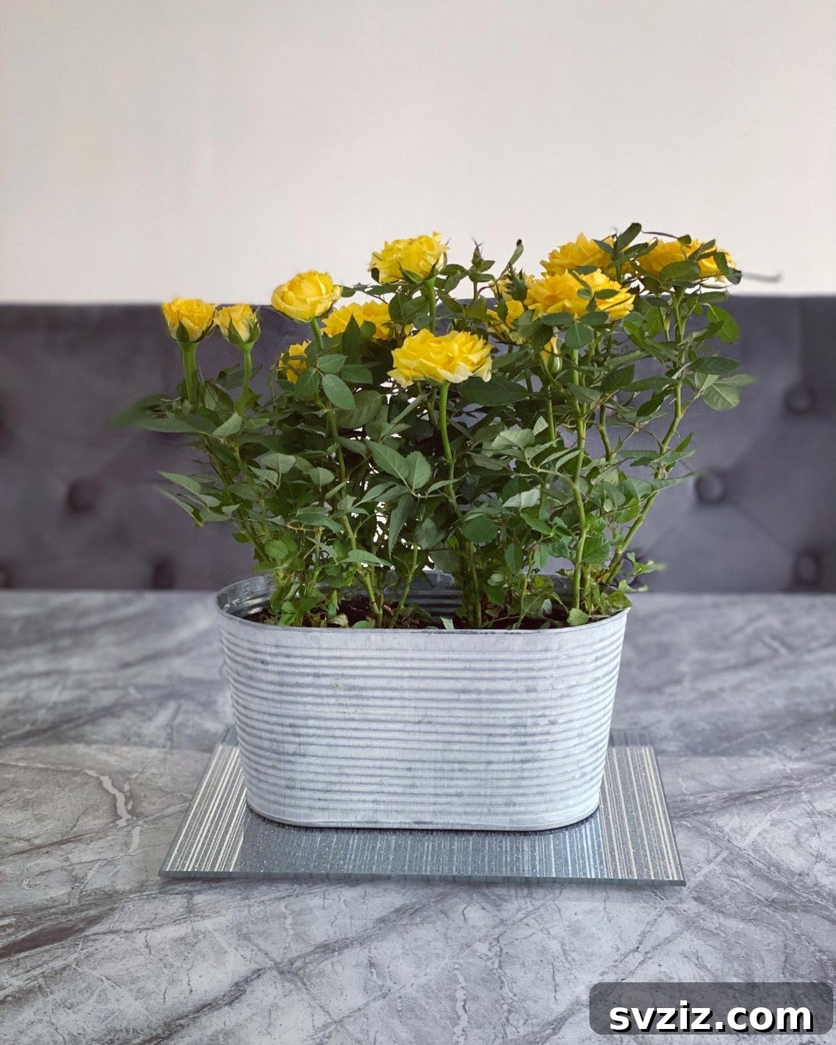 23 Effortless DIY Summer Dining Table Centerpieces 4 2. Yellow Rose Centerpiece