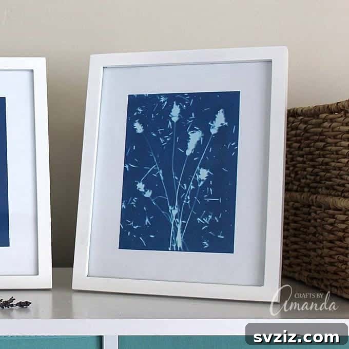 Creative Summer Projects for Grown-Ups 18 Unique sun print wall art using special paper and sunlight for a gorgeous aesthetic.