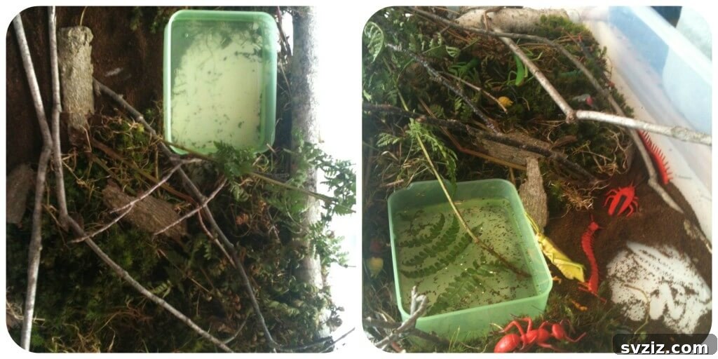 A vibrant nature sensory bin filled with elements from outdoors.