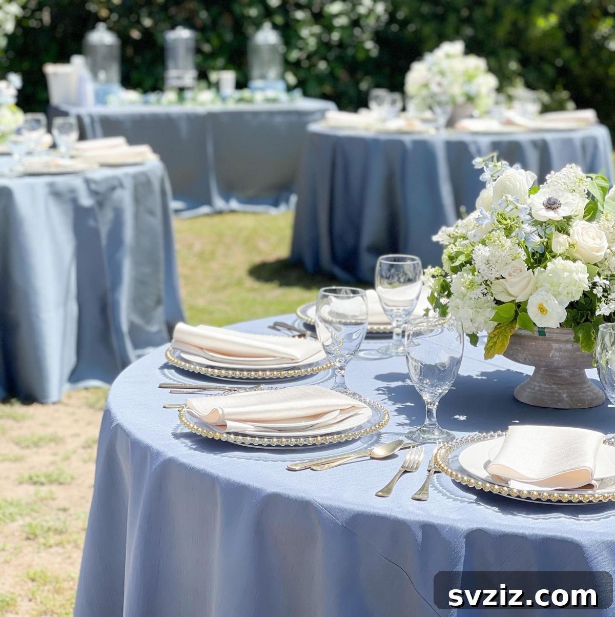 23 Dreamy Backyard Micro Wedding Concepts 15 Backyard wedding table decorated with elegant blue and white elements