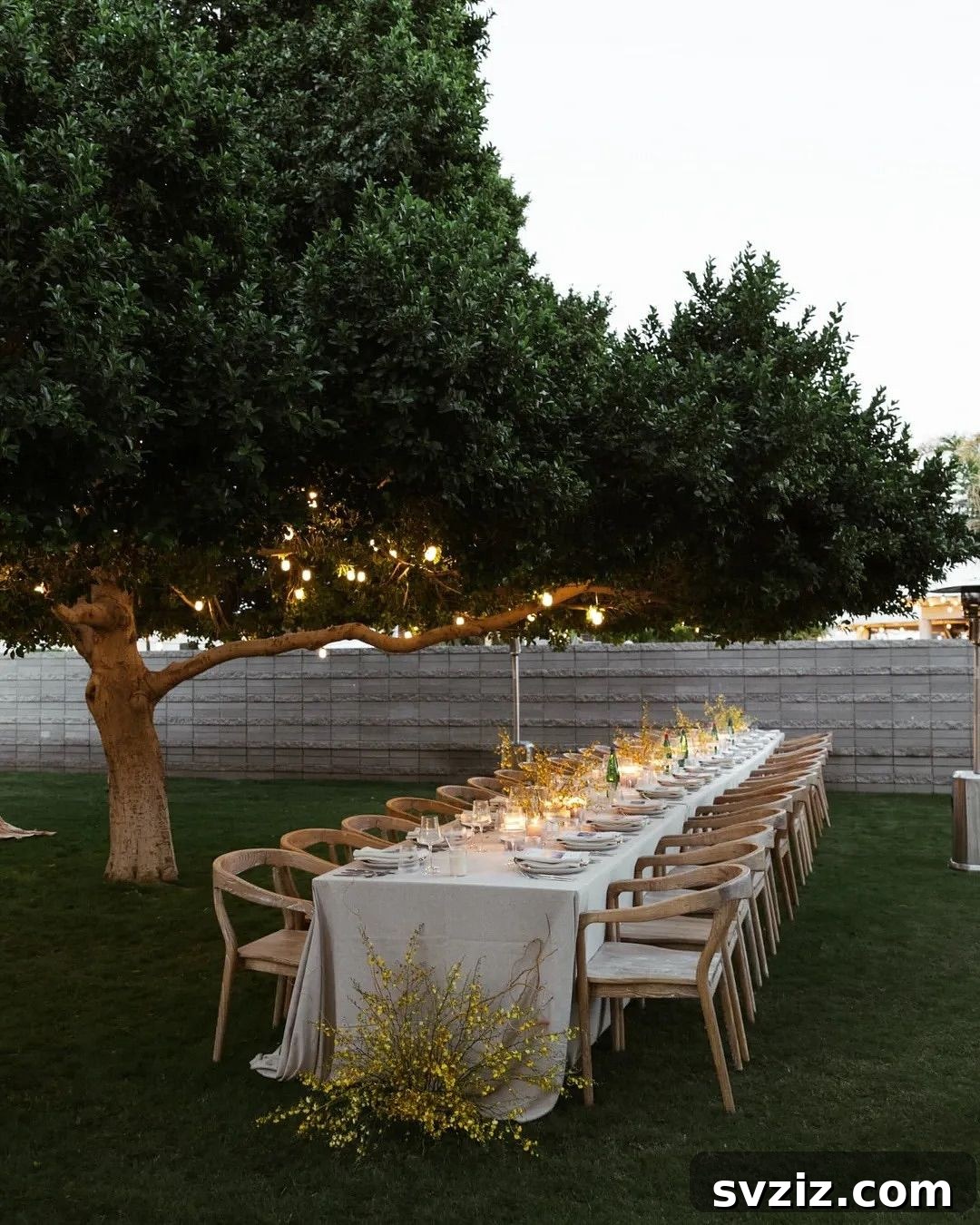 23 Dreamy Backyard Micro Wedding Concepts 5 Intimate micro wedding table under a large tree with simple decor