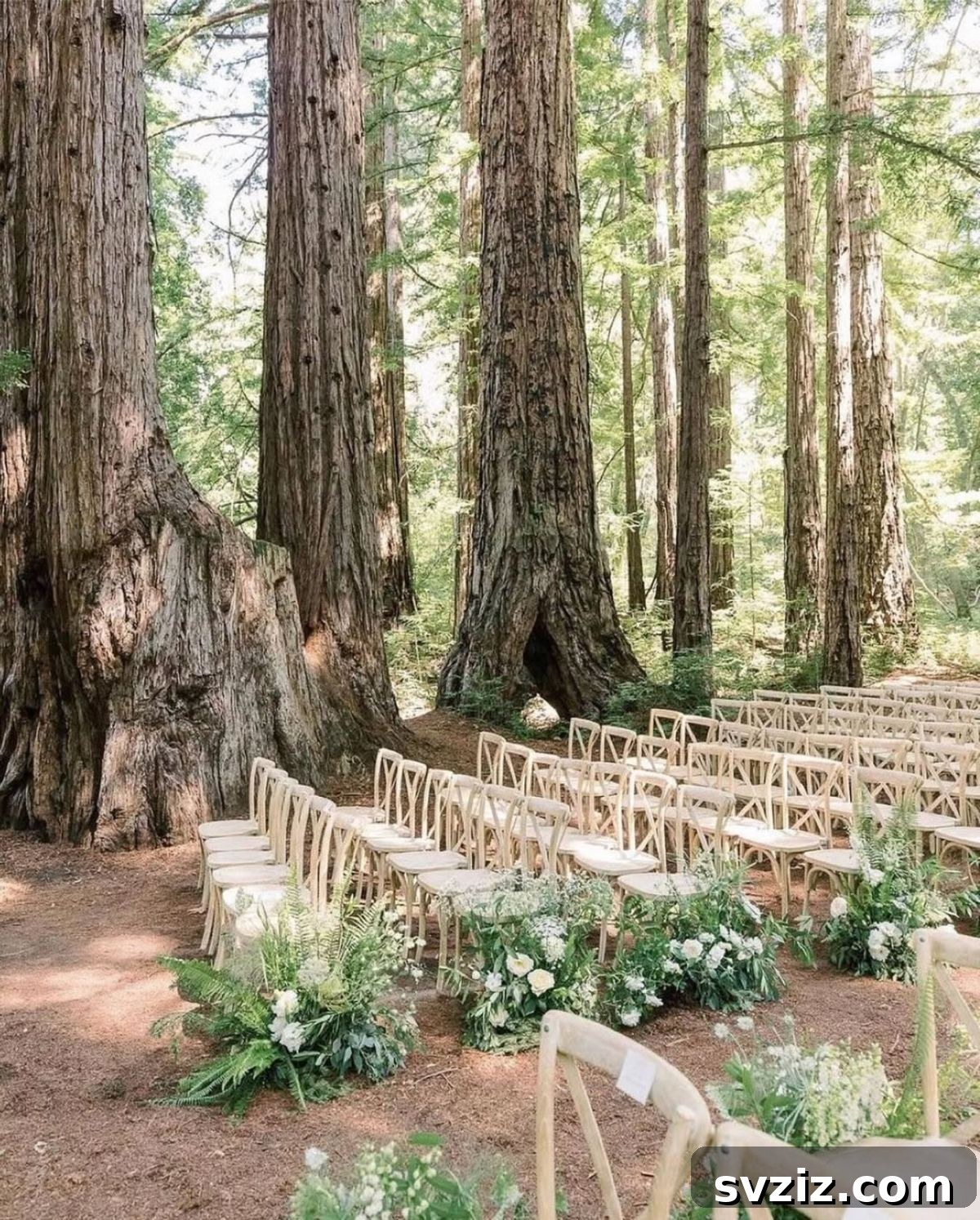 5. Dreamy Outdoor Ceremony