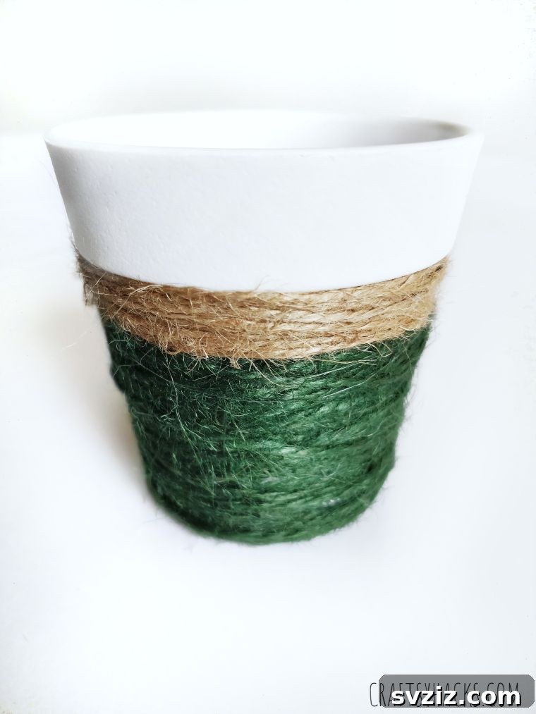 Completed DIY planter with twine decoration