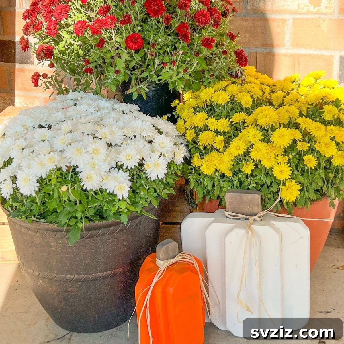 31 Autumn Outdoor Decor Ideas to Enhance Your Home's Curb Appeal 21 Outdoor fall decor combining vibrant flowers with chic, minimalistic pumpkins