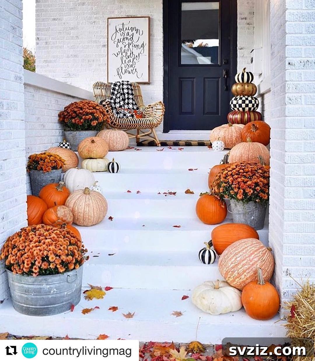 31 Autumn Outdoor Decor Ideas to Enhance Your Home's Curb Appeal 7 Porch steps decorated with sophisticated black and white pumpkins and fall flowers