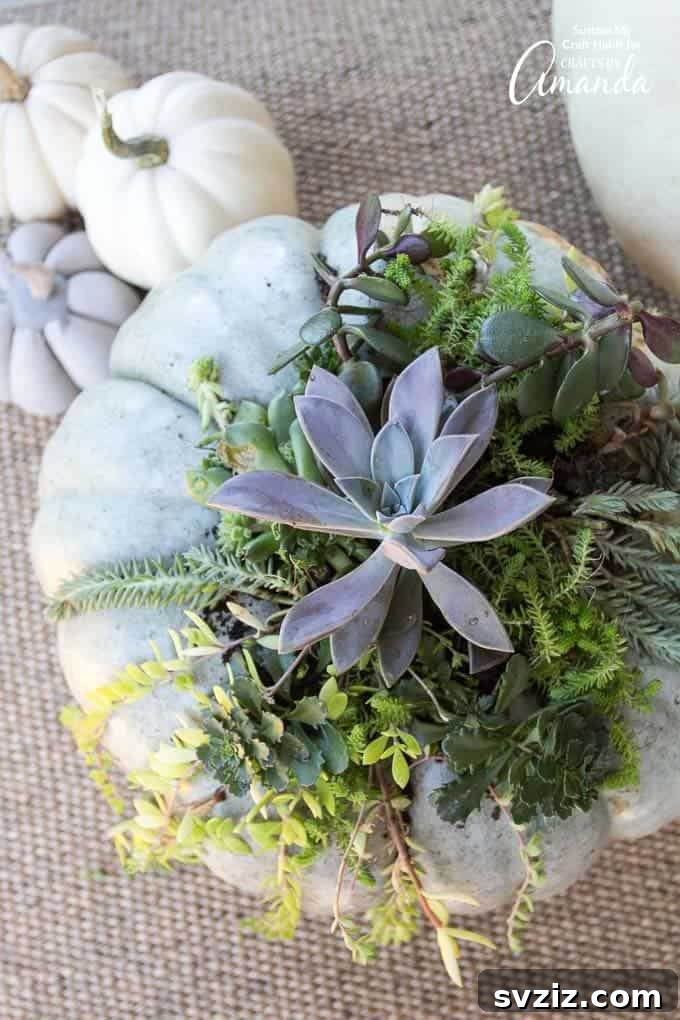 31 Chic Fall DIY Projects for Adult Homes 24 Innovative DIY succulent pumpkin, a natural and stylish fall decoration for porches or tabletops.
