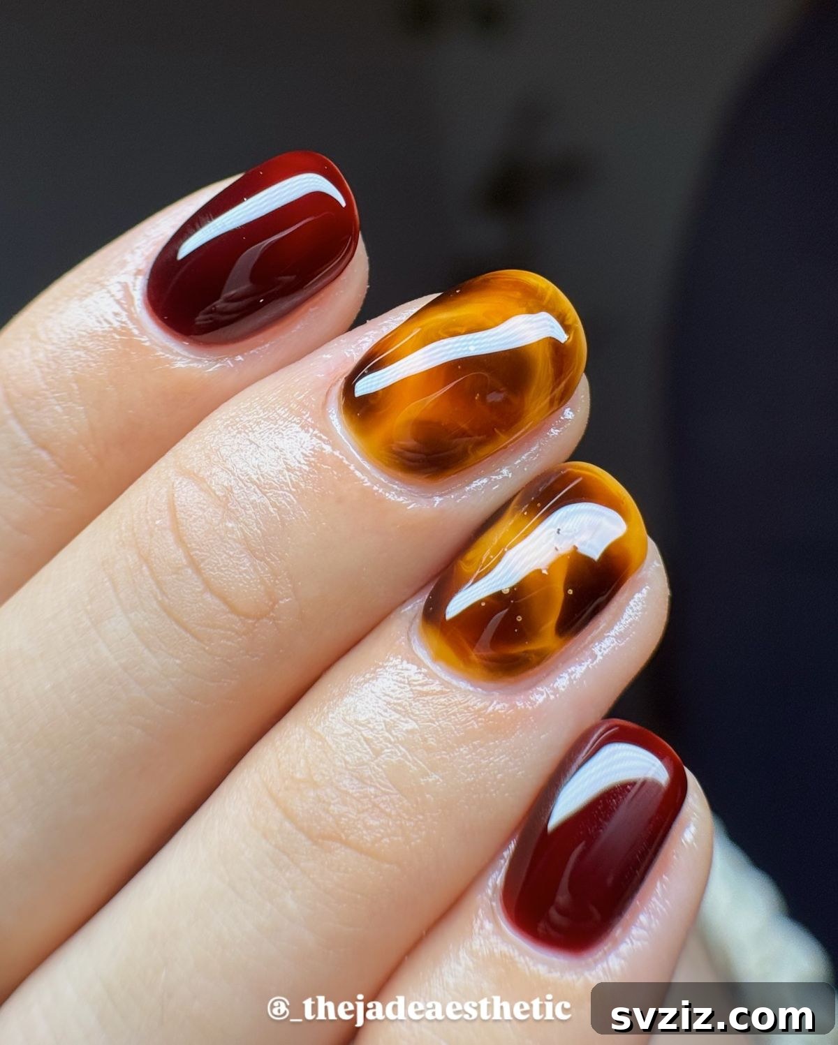 18. Red and Tortoise