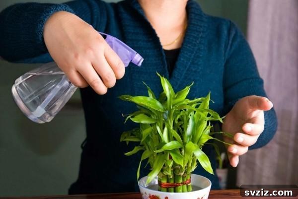 15 Genius Dusting Tips for a Pristine and Dust-Free Home 15 Spray Your Plants