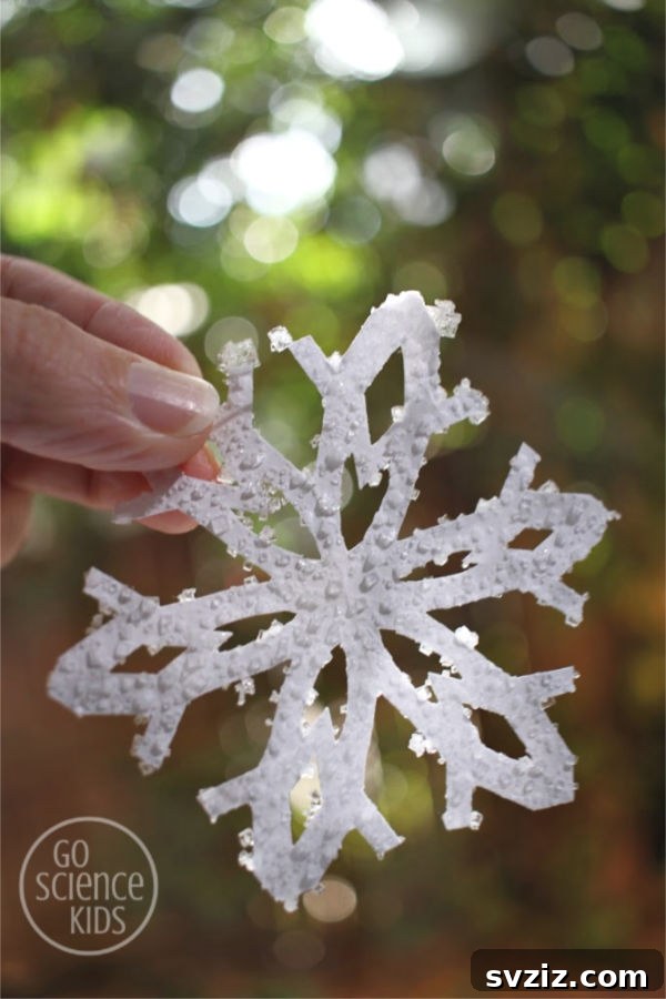 53 Paper Craft Ideas to Spark Your Imagination 44 Sparkling salt crystal snowflakes, a fun science craft for kids