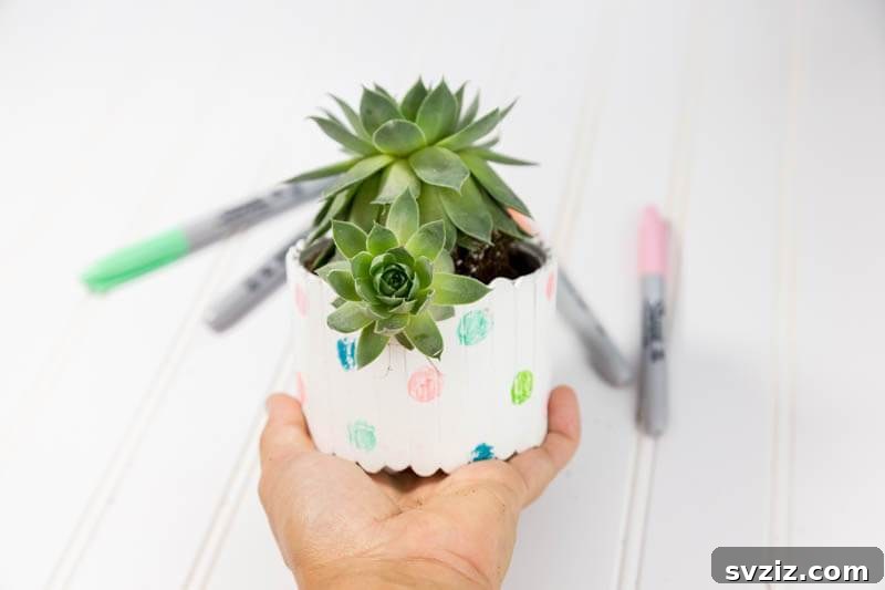 Popsicle Pot