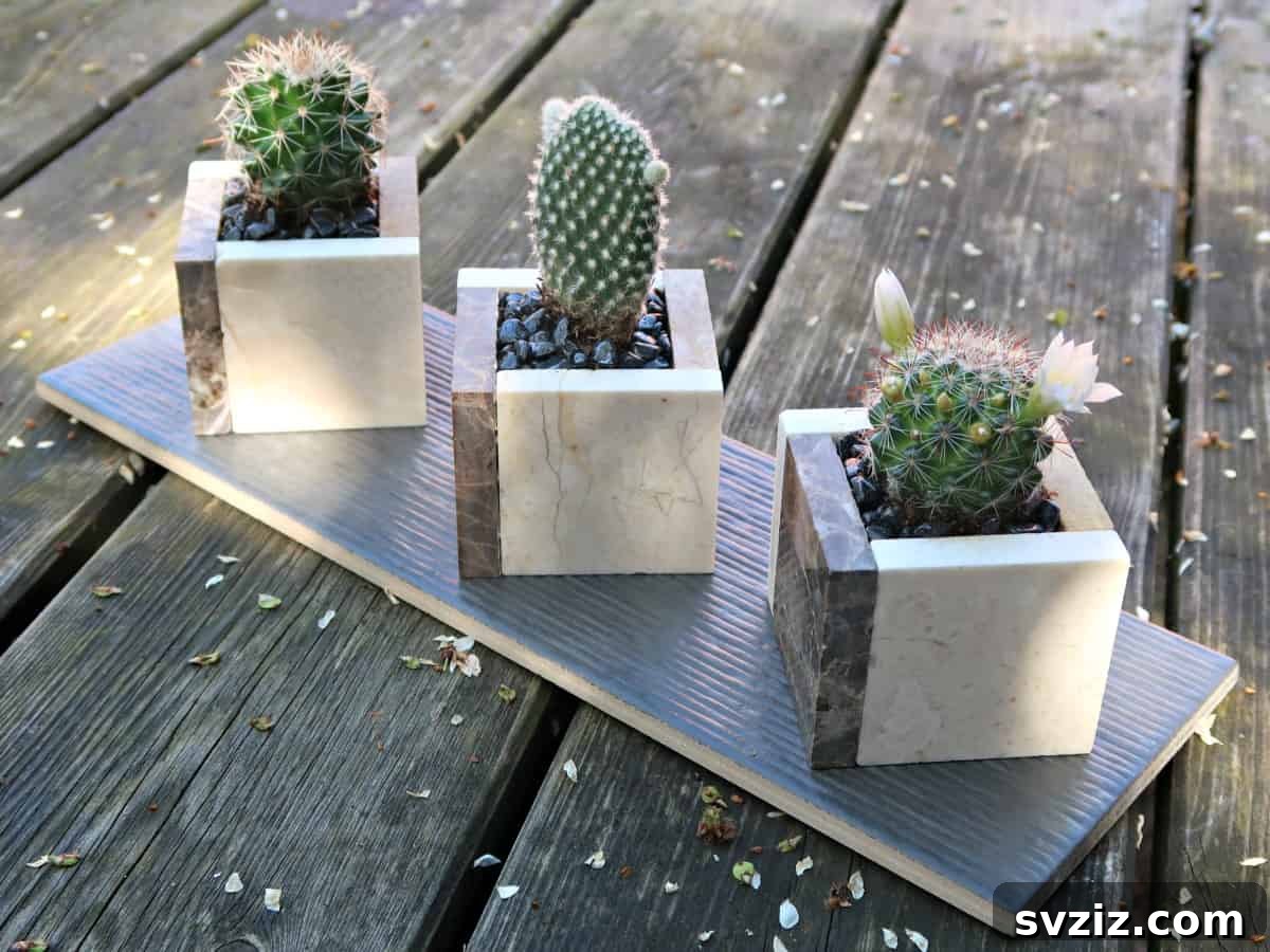 Indoor Ceramic Mini Planters, stylish homes for succulents