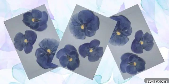 Homemade Pressed Flower Greeting Cards, a thoughtful DIY gift