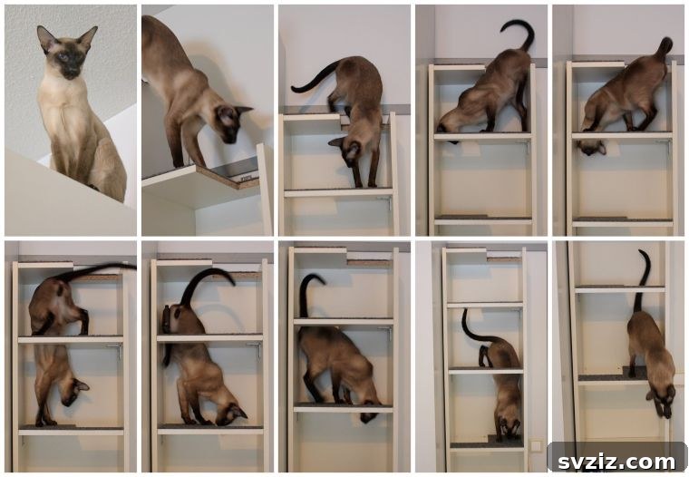 IKEA Bookshelf Reinventions 13 Cat Maze