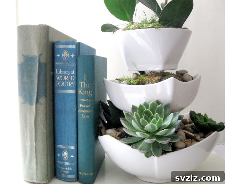 20 Dollar Store Decor Hacks for a Stylish Home 10 Layered Ceramic Succulent Display Bowls
