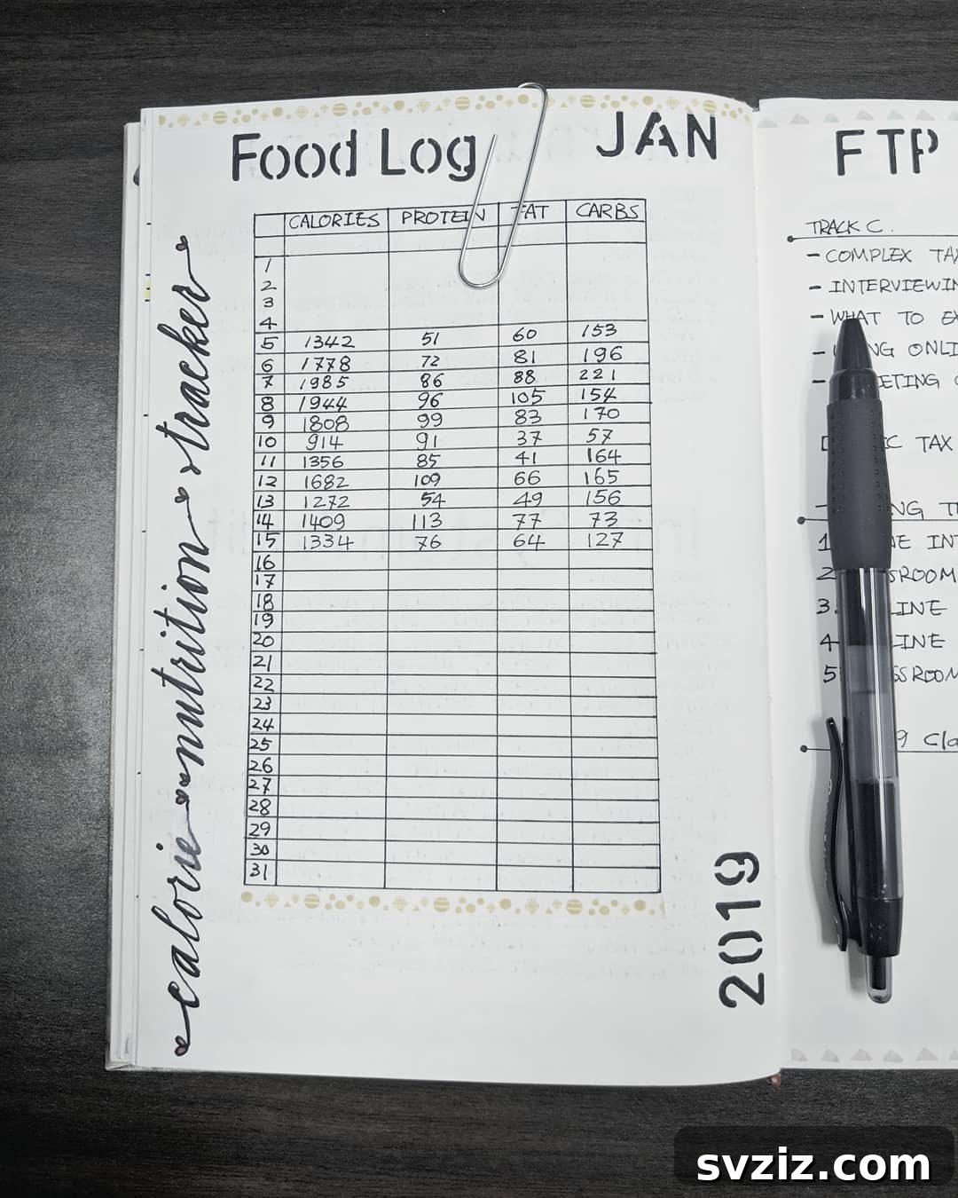 Bullet Journal Nutrition Log