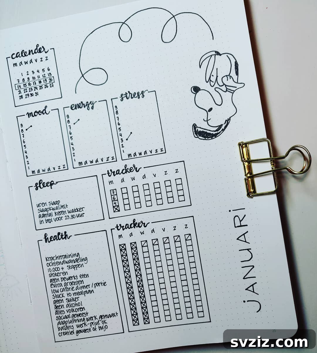 Bullet Journal Health Tracker