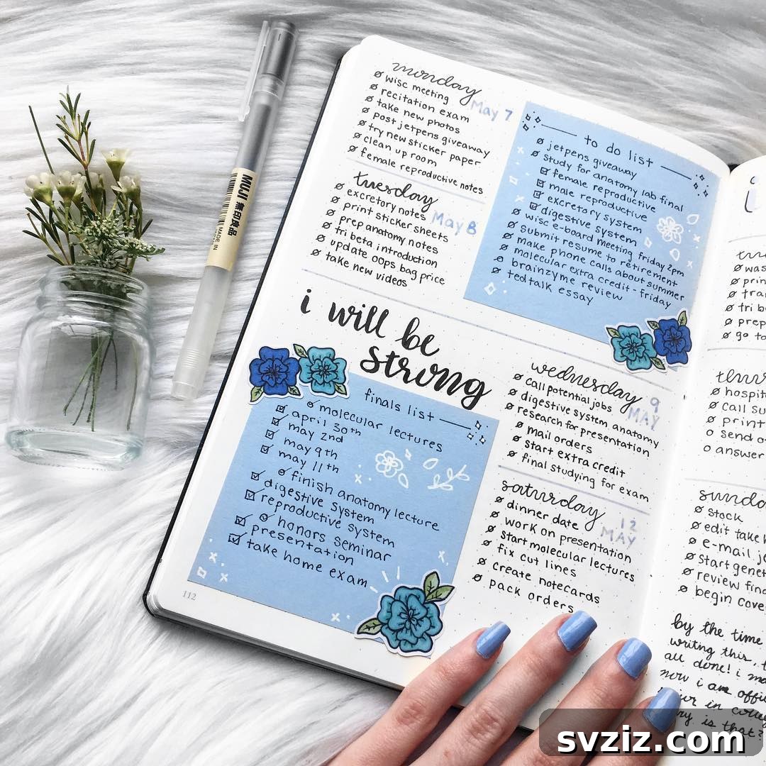 Bullet Journal Affirmations Spread