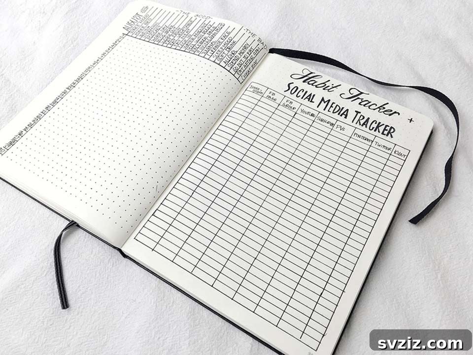 Bullet Journal Social Media Tracking